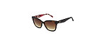 Ted Baker Herrenbrille classic aus Acetat/Kunststoff