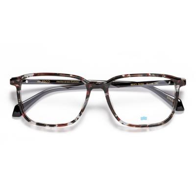 Berti Front Bkrd