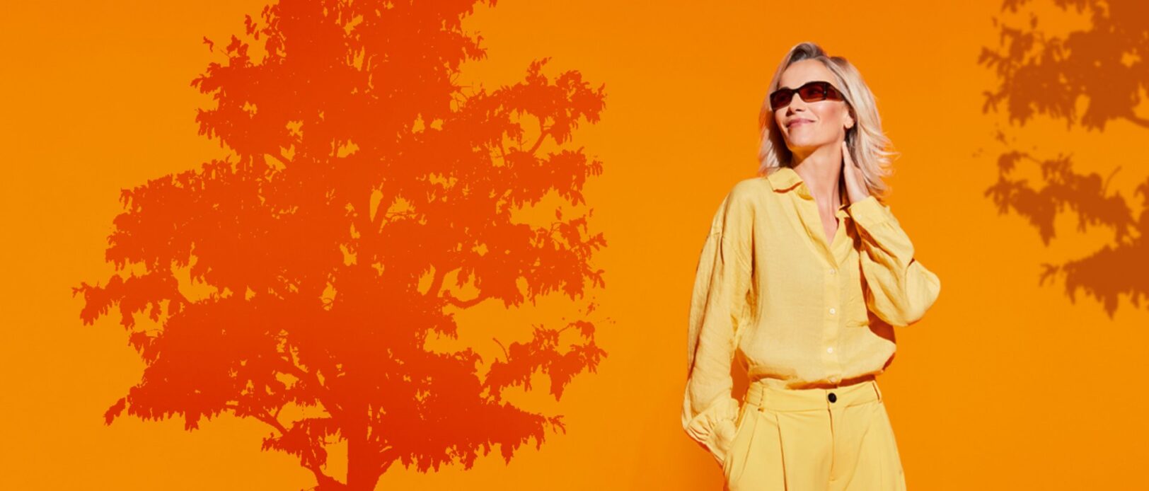 Csm Ambelis Slider 1292x552 B1ec8288a5 Csm Ambelis Slider 1292x552 B1ec8288a5