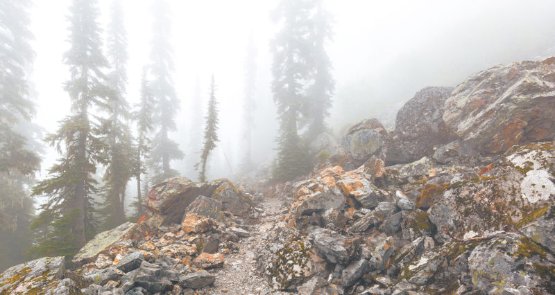 Ee Lst Active Silver02 No Ee Lst Active Silver02 No