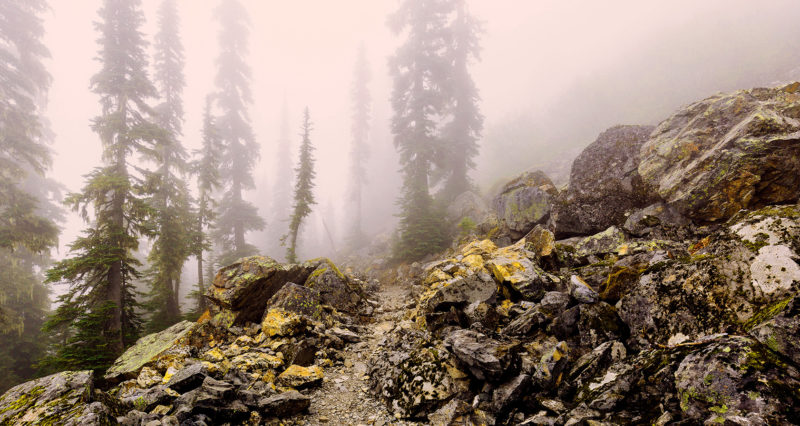 Ee Lst Active Silver02 Yes Ee Lst Active Silver02 Yes