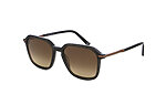 Davidoff DAPS109-02