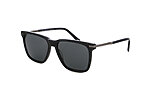 Davidoff DAPS110-01