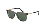 Herrensonnenbrille Davidoff DAPS111 Produktbild